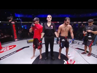 wsof 26. palmer vs. almeida