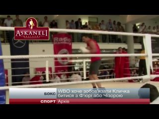 boxing. wbo wants to oblige wladimir klitschko to fight tyson fury or derek chisora
